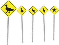 Ducks
